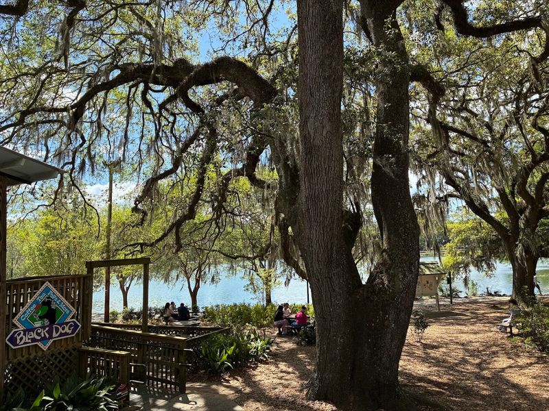 The Magical Lakeside Setting That Steals The Show