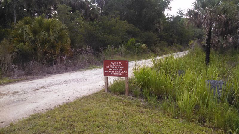 Historic Oyster Shell Mounds Built by Calusa Hands