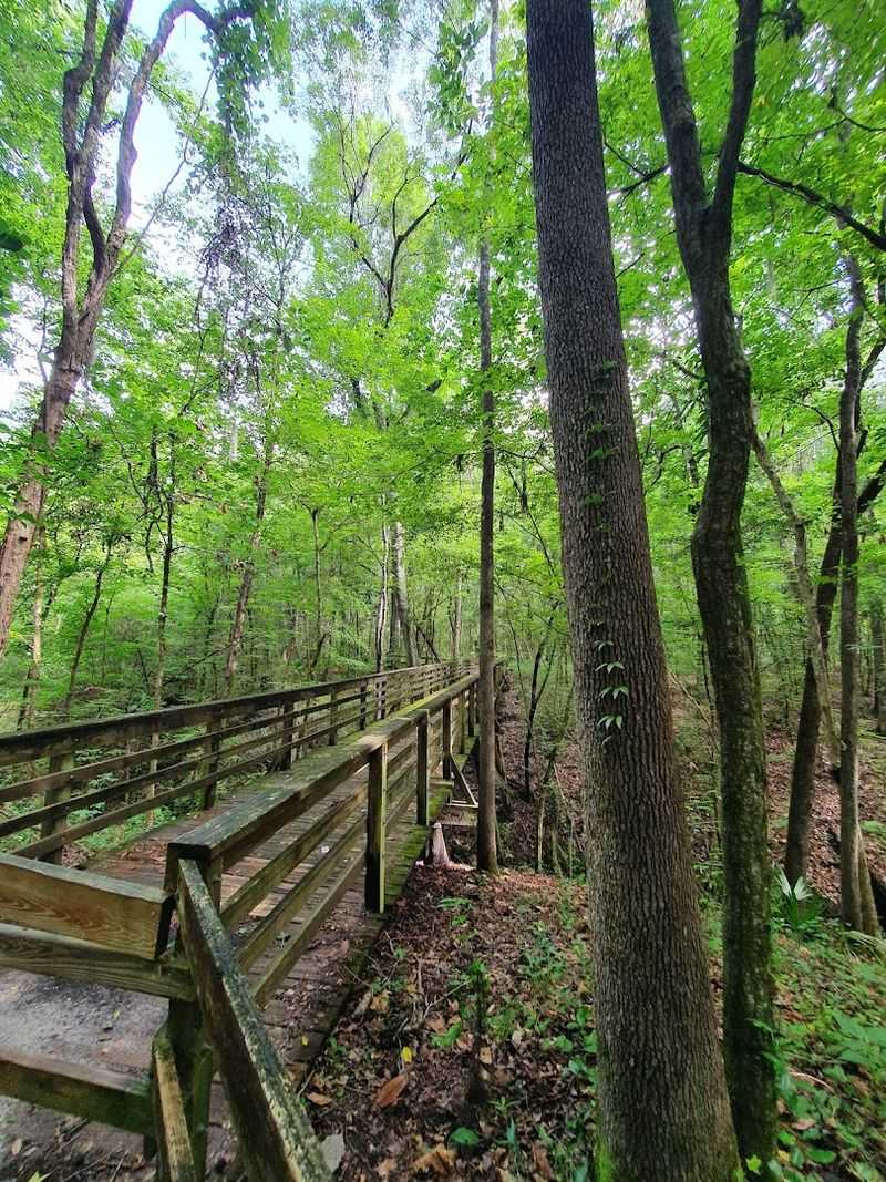 A Half-Mile Nature Trail Around The Rim