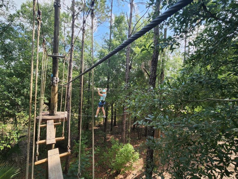 Orlando Tree Trek Adventure Park - Orlando