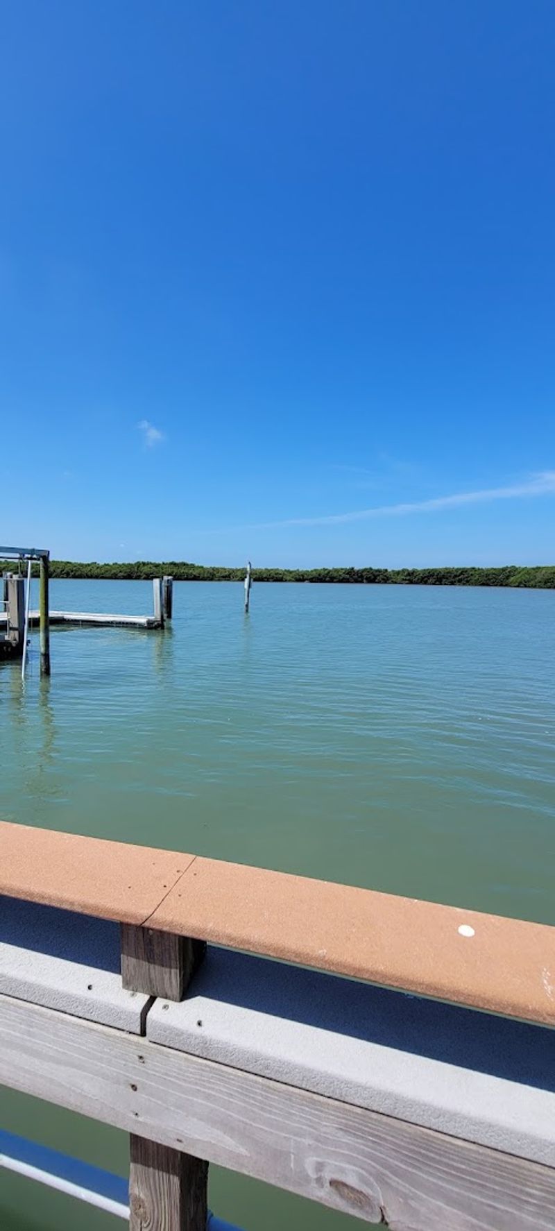Ferry Adventure Through the Mangroves