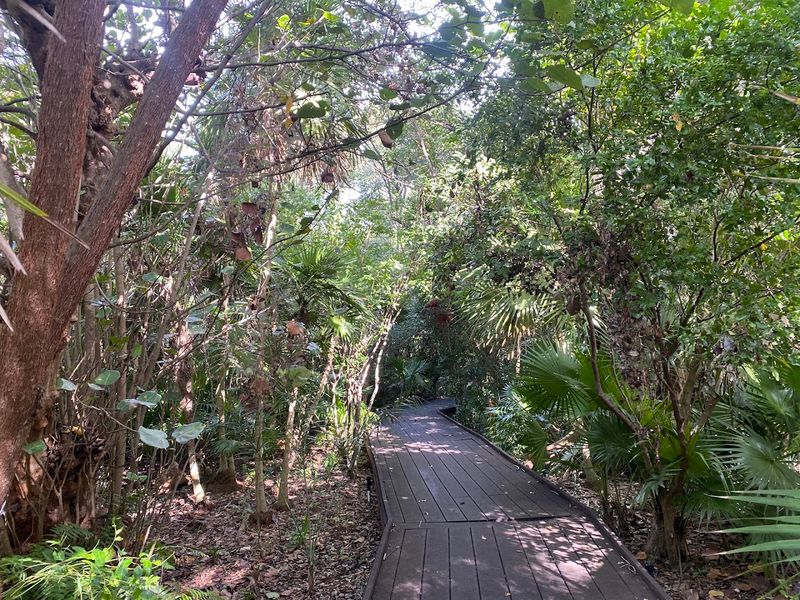 Key West Tropical Forest & Botanical Garden – Key West