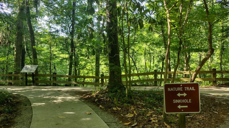 Perfect Picnic Grounds With Grills And Shade