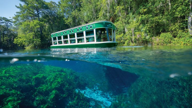 Silver Springs State Park Glass Bottom Boat Tours – Silver Springs