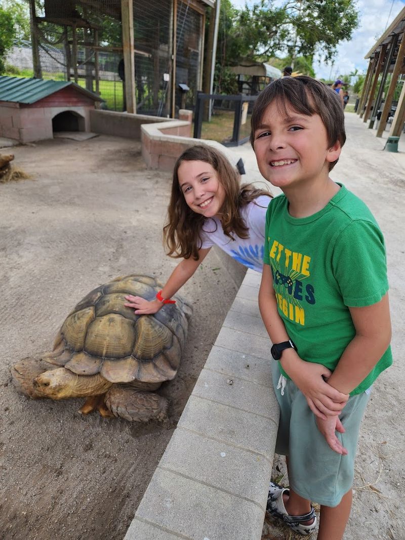 Interactive Animal Encounters That Create Lasting Memories