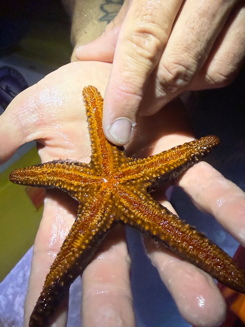 Expert Guides Who Know Every Creature By Name