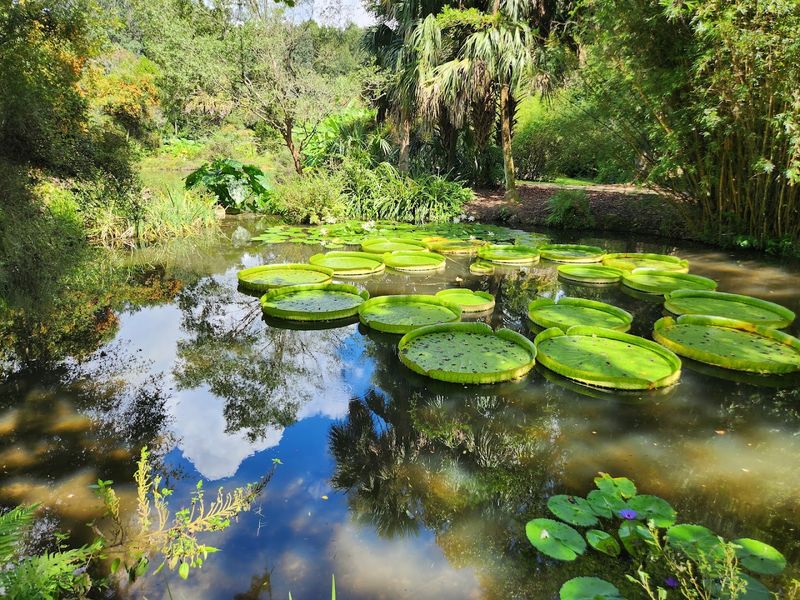 Kanapaha Botanical Gardens – Gainesville