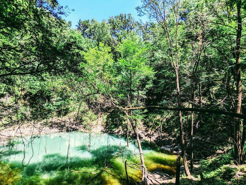 Miniature Waterfalls That Defy Florida's Flat Reputation