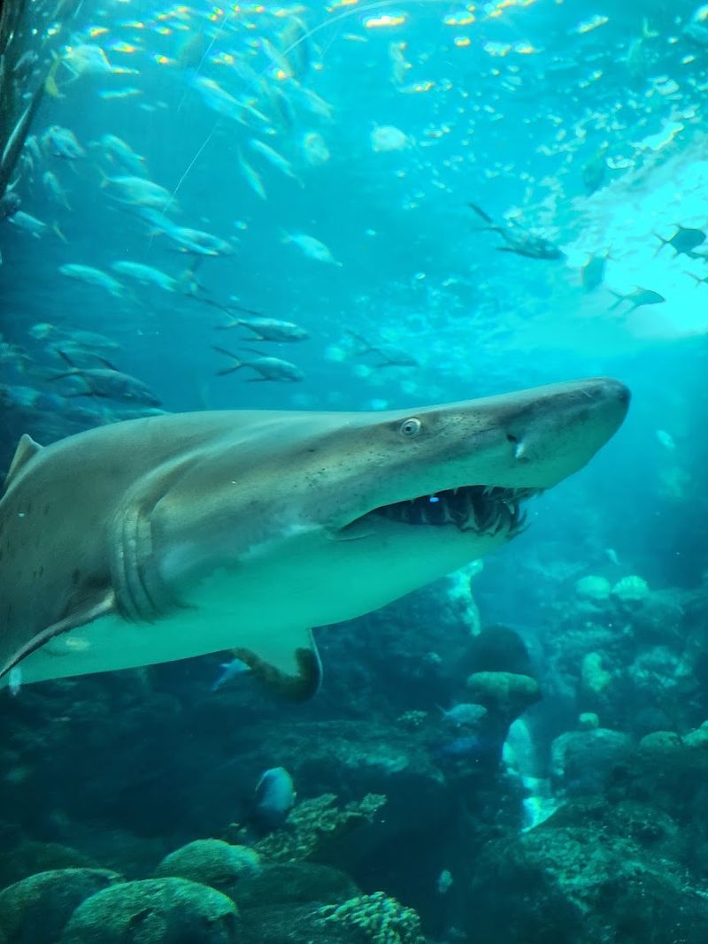 Behind-the-Scenes Tours and Special Experiences
