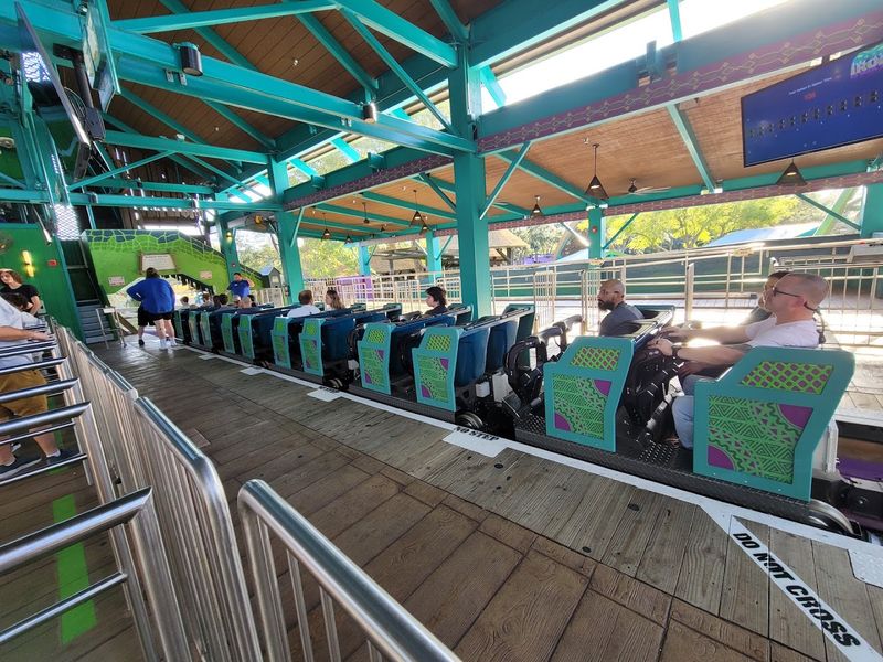 Why Roller Coaster Fans Travel to Tampa