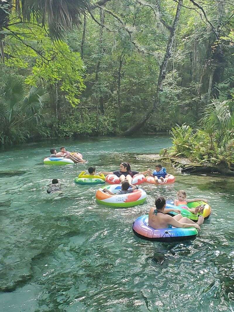 Rock Springs Run at Kelly Park – Apopka
