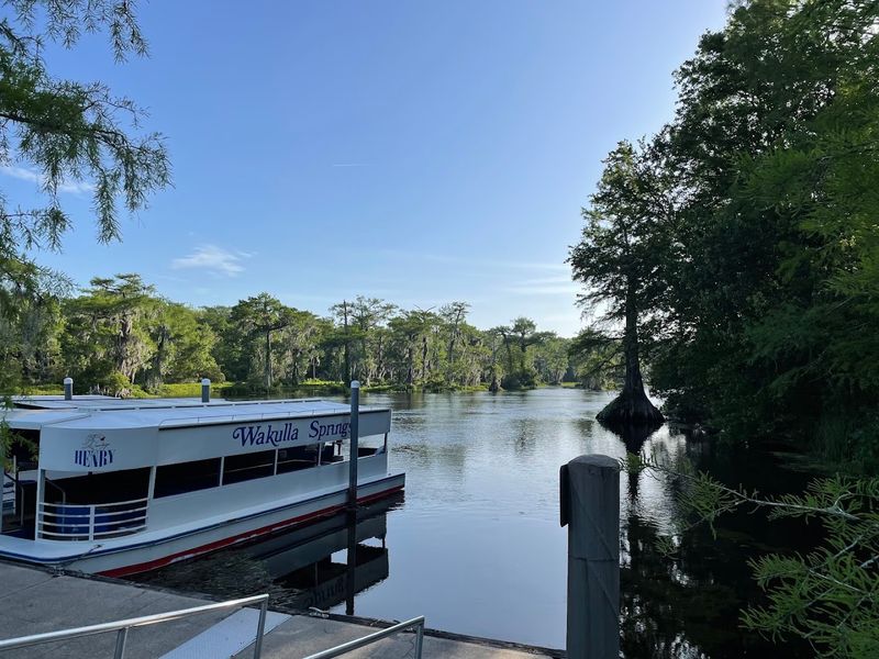 Wakulla River Boat Tour – Crawfordville