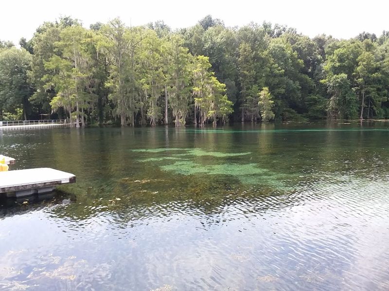 Wildlife Watching and Fishing Opportunities
