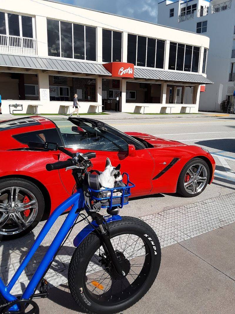 Miami's Iconic Ocean Drive