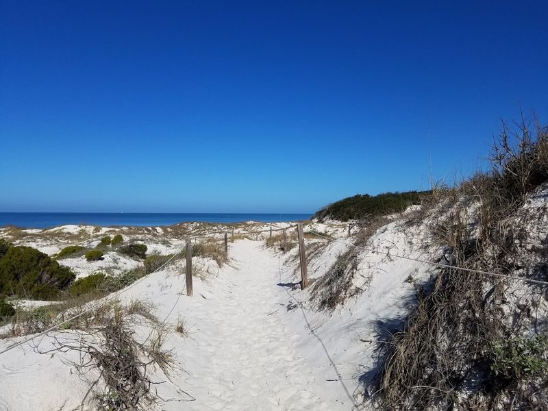 St. Joseph Peninsula State Park's Natural Wonders
