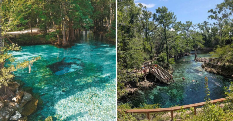 Cool Off at These 15 Florida Swimming Spots That Feel Like Paradise in August