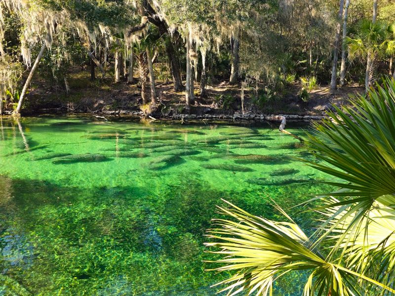Blue Spring State Park – Orange City