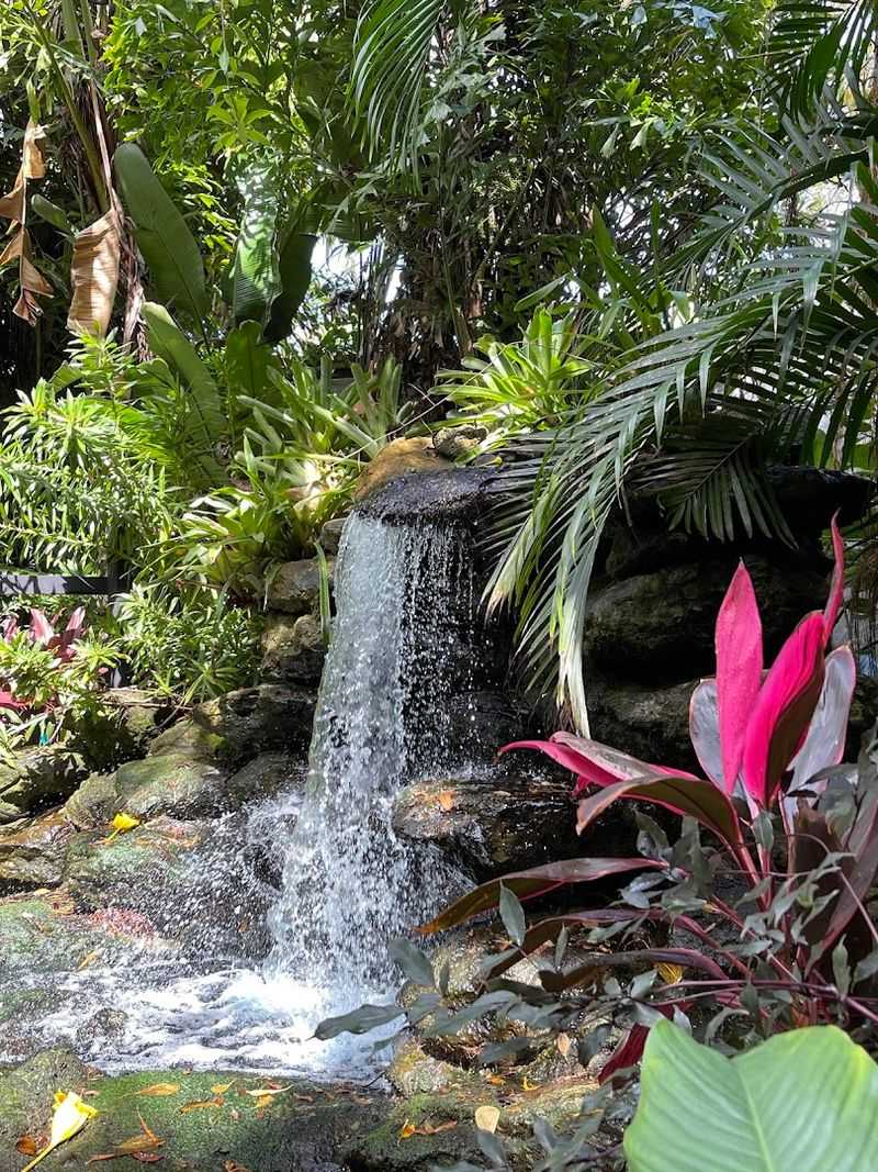Marie Selby Botanical Gardens Downtown Sarasota Campus – Sarasota