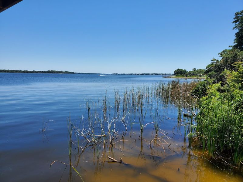 Lake Tarpon – Palm Harbor