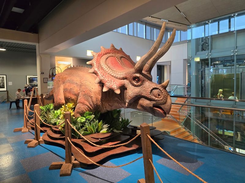 Interactive Exhibits That Make Science Actually Fun