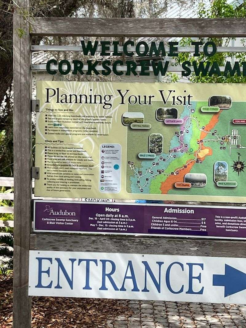 Practical Tips for Your Best Visit