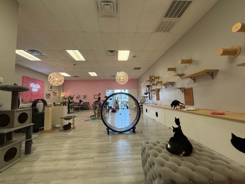 Enjoy a Spotlessly Clean and Thoughtfully Designed Space