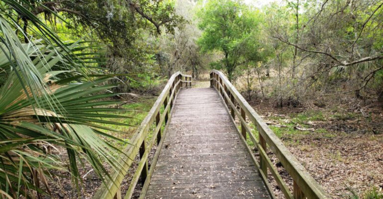 Even Florida Locals Have Never Heard Of This Massive 54,000-Acre State Park