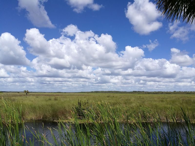 Secret Fishing Spots Where Locals Land Trophy Snook