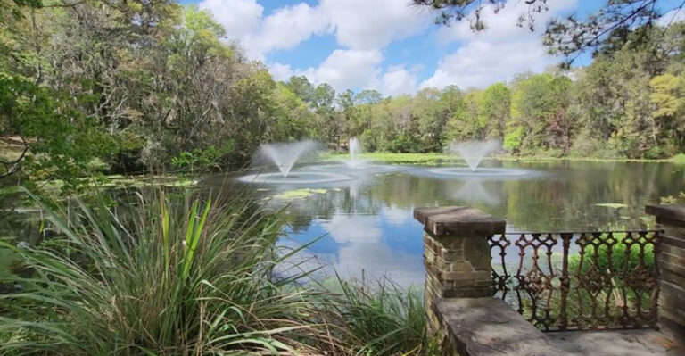 Few Florida Gardens Feel as Peaceful as This Beautiful Arboretum