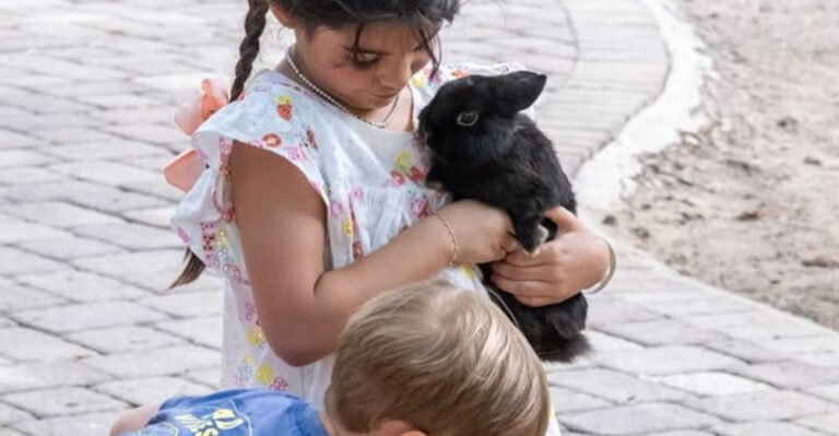 Few People Know About This Hands-On Animal Farm Just Outside Orlando