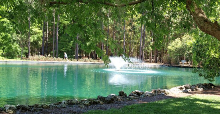 Florida Has A Park So Peaceful, It Was Ranked Among The Calmest Places In America