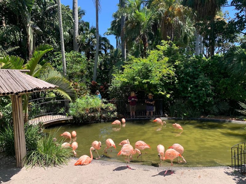 Sunken Gardens – St. Petersburg