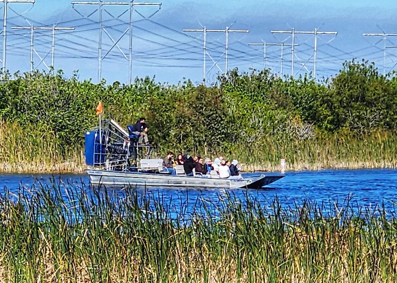 Airboat Tours That Actually Deliver the Thrills