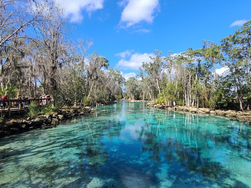 Three Sisters Springs - Crystal River