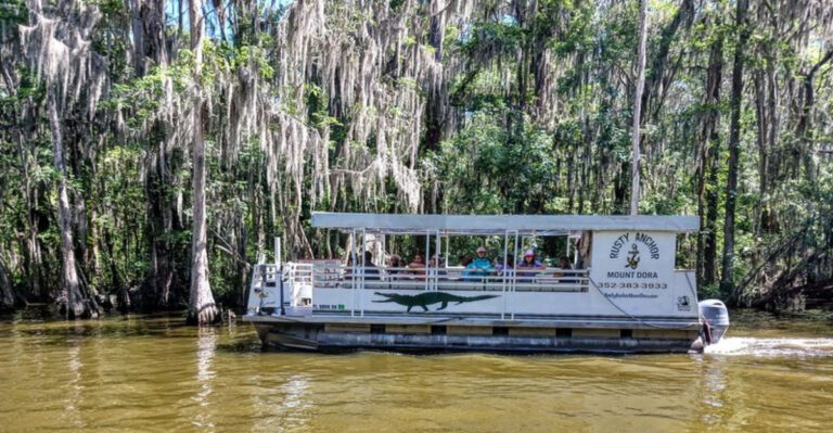 Glide Through Ancient Cypress Trees On A Florida Boat Ride That Feels Almost Too Wild To Be Real