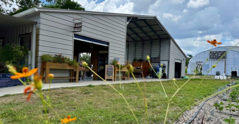 I Still Can’t Believe This 2-Acre Farm Is Hiding in Downtown Tampa