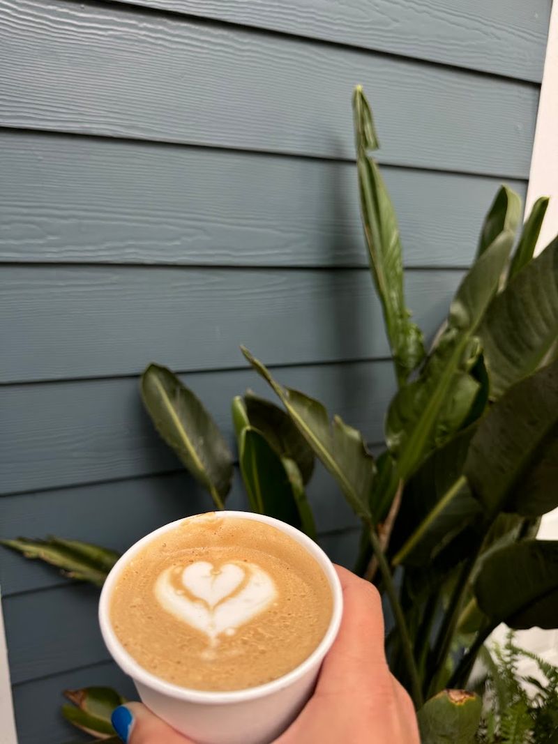 Browse and Buy Plants While You Sip