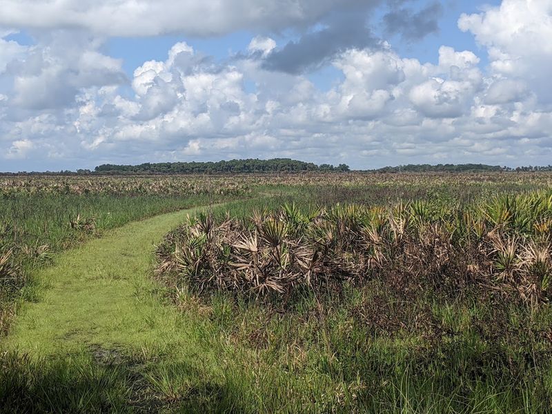 Miles of Hiking Trails Through Untouched Wilderness