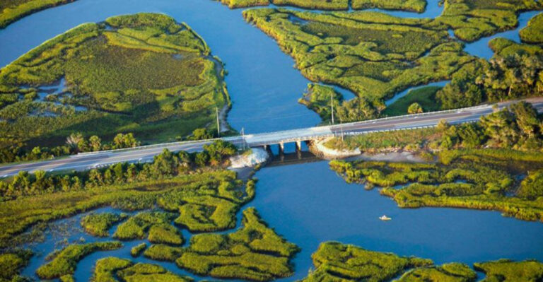 It Kills Me That People Drive Florida’s Interstates and Miss These 10 Scenic Roads