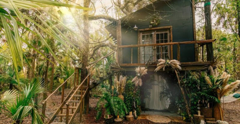 Just 1.5 Hours From Tampa, This Hidden Treehouse Stay Feels Like Another World