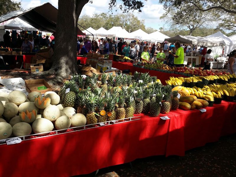 Supporting Local Economy and Small Businesses