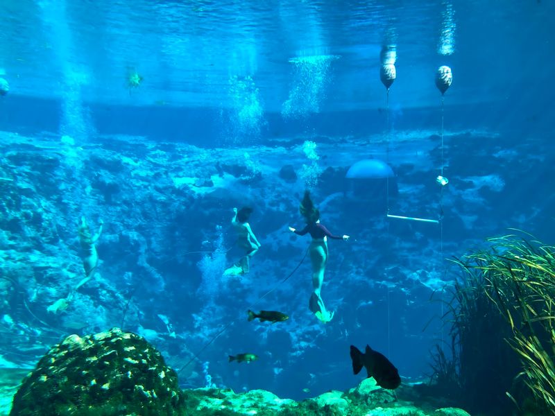 Weeki Wachee Springs State Park – Spring Hill