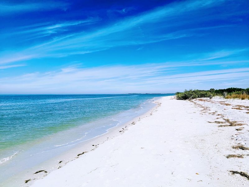 Why Caladesi Beats Other Tampa Bay Beaches
