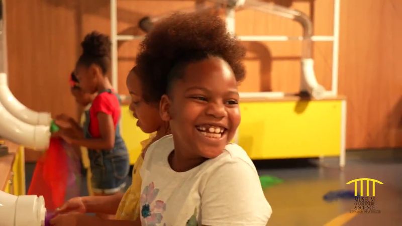 Affordable Access Through Museums for All and Special Programs