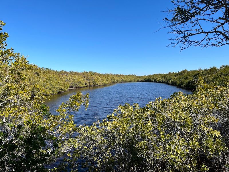 Wildlife Watching Opportunities