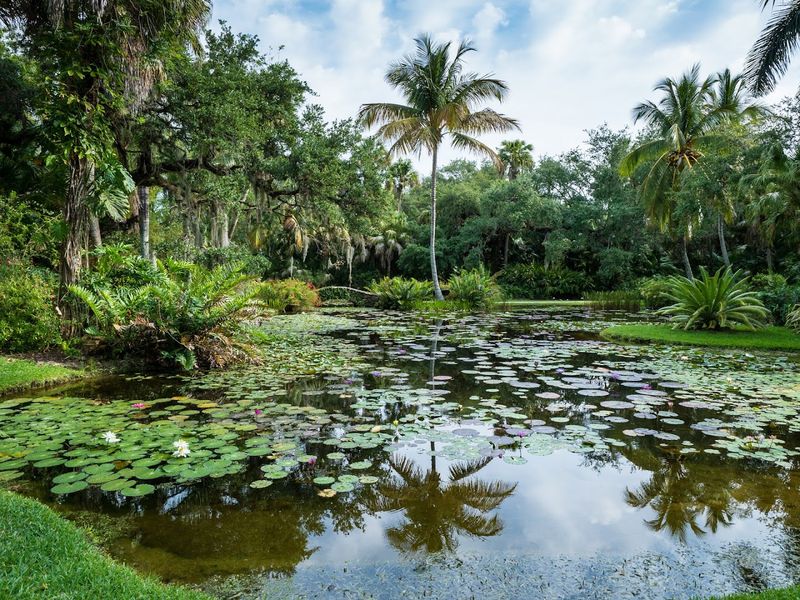 McKee Botanical Garden – Vero Beach