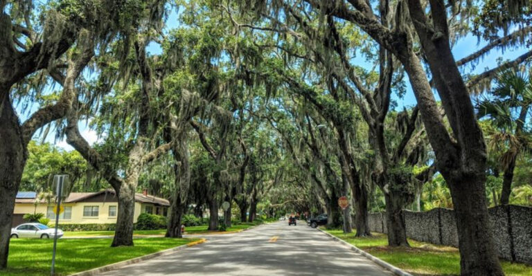 One of Florida’s Most Photographed Streets Looks Straight Out of a Storybook