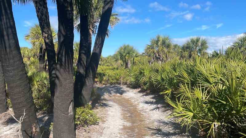 Nature Trails Through Maritime Forest