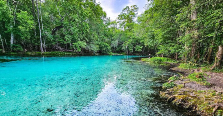 People Spend Thousands Flying to the Caribbean While These 9 Florida Springs Sit Right Here