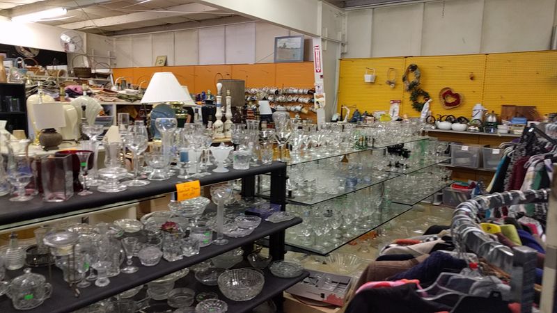 Friendly Staff Who Genuinely Want You to Find Treasures